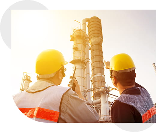 ALARP Demonstration Service