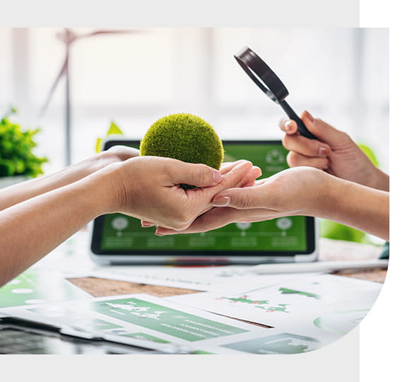 Benefits Of Hiring Environmental Impact Assessment Companies