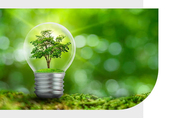 Environmental Impact Analysis Services