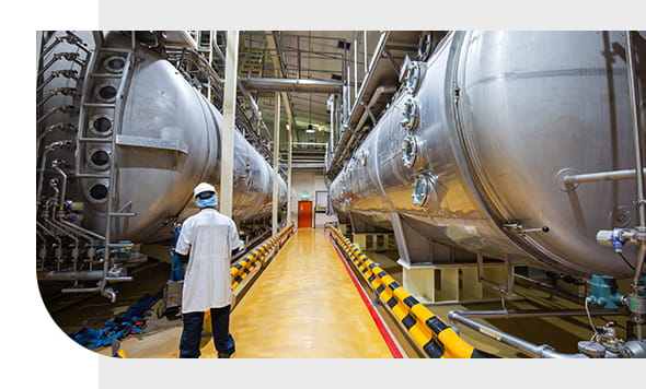 ISO 22000 Certification Process