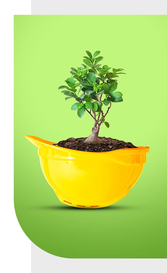 Our EIA Environmental Impact Assessment Portfolio covers