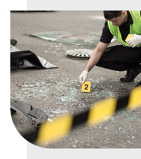 Our Expert-led Services